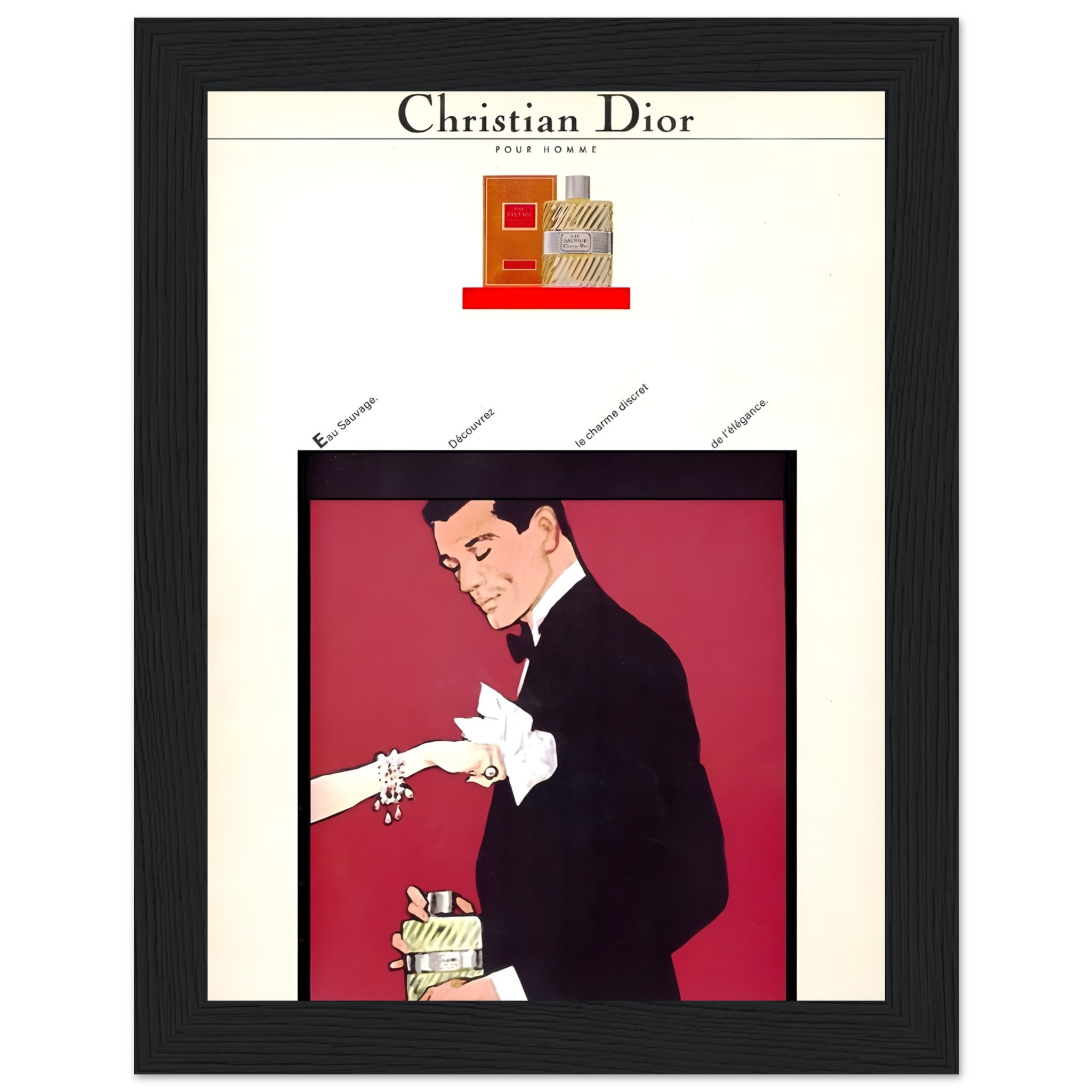 272adcce-9b25-464a-982e-2db469b9e7da