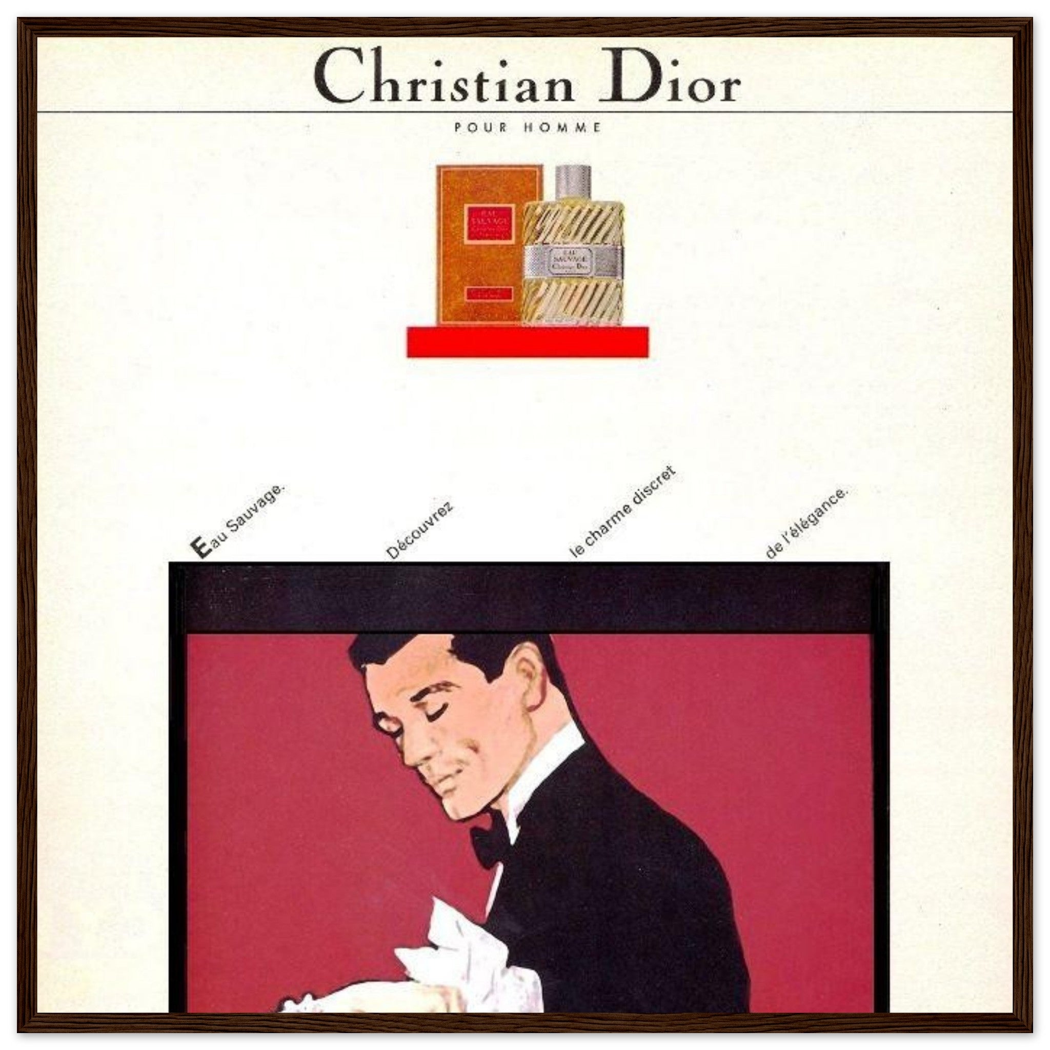 d2c21088-504c-42fa-80a8-28cedaa2df80